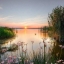 Устала сонная природа
